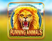 Running Animals